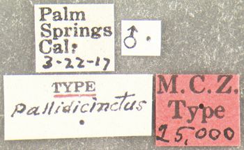Media type: image;   Entomology 25000 Aspect: labels